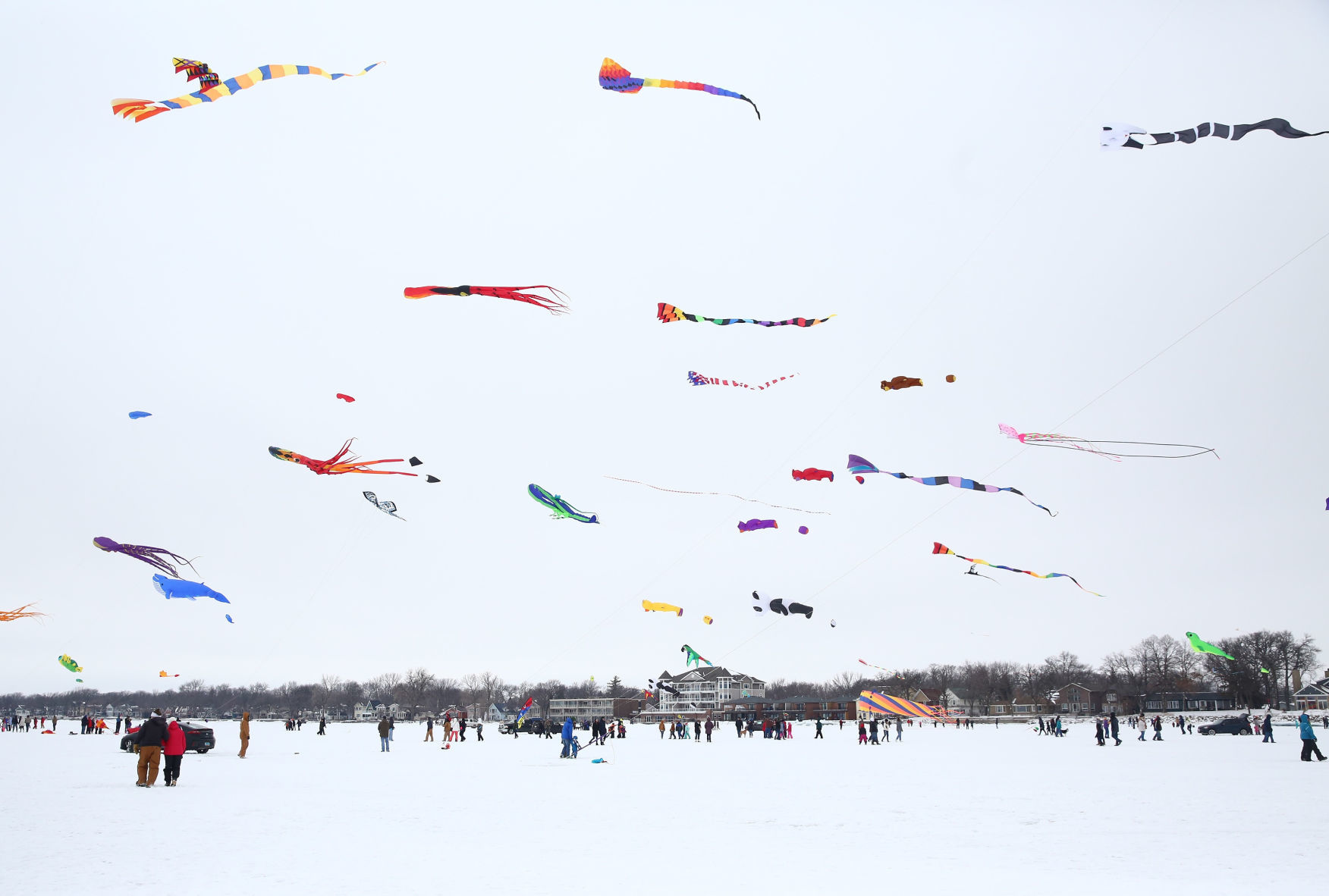 Color the Wind 26